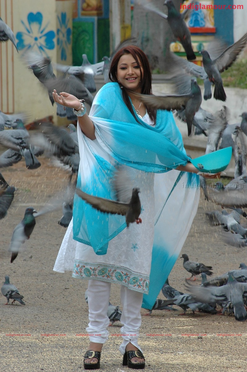 Nuvuekkadaunte Nenu Akkadaunta Movie hd photo