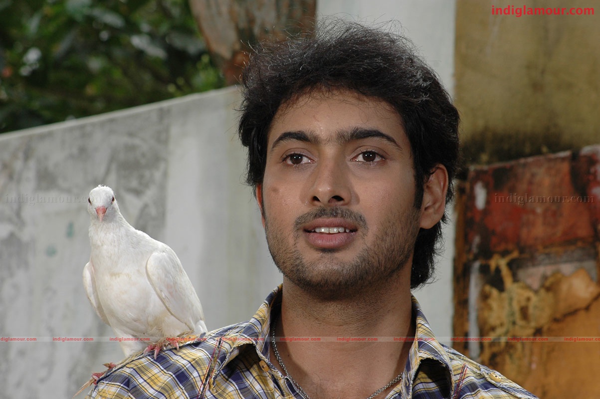 Nuvuekkadaunte Nenu Akkadaunta Movie hd photo