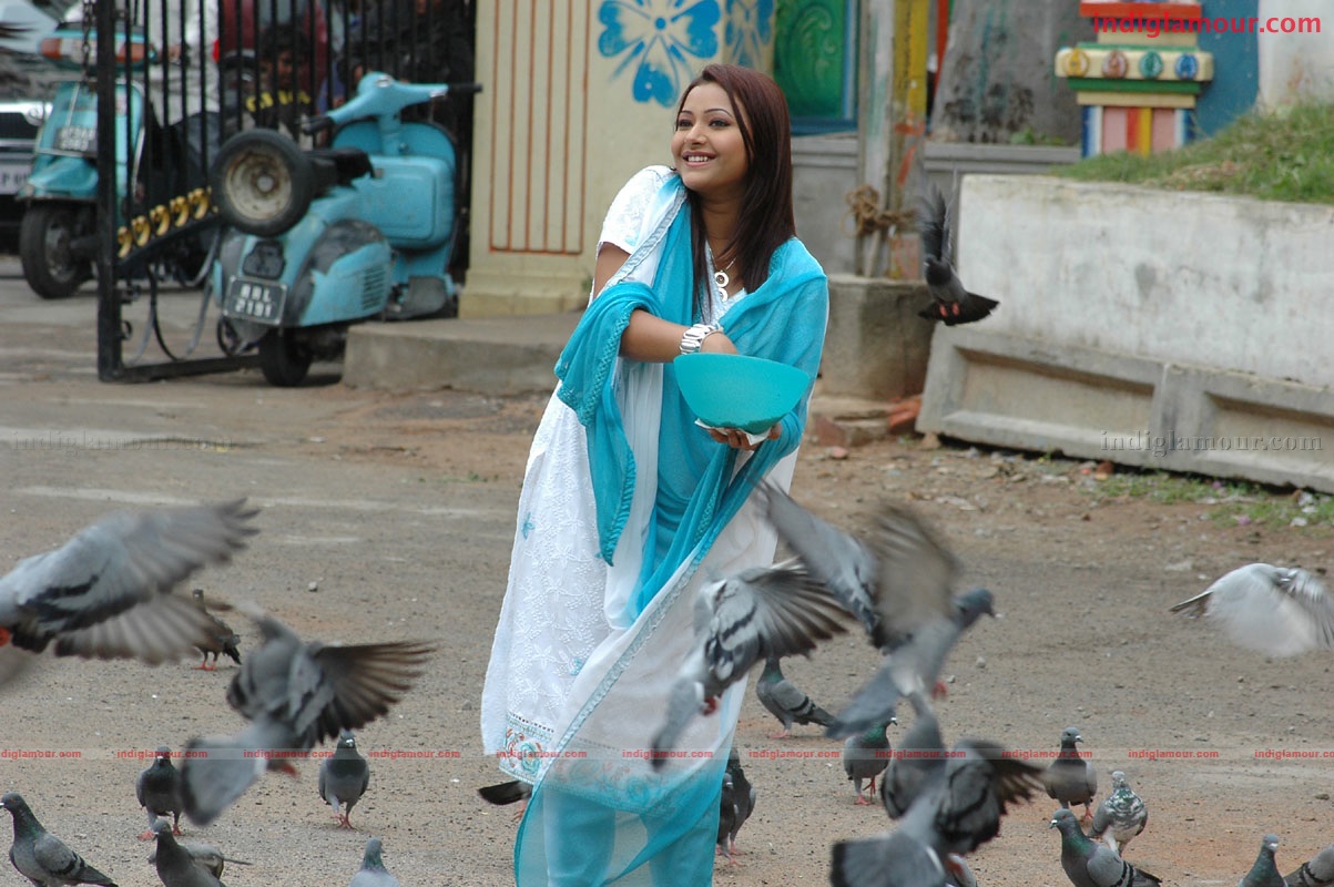 Nuvuekkadaunte Nenu Akkadaunta Movie hd photo