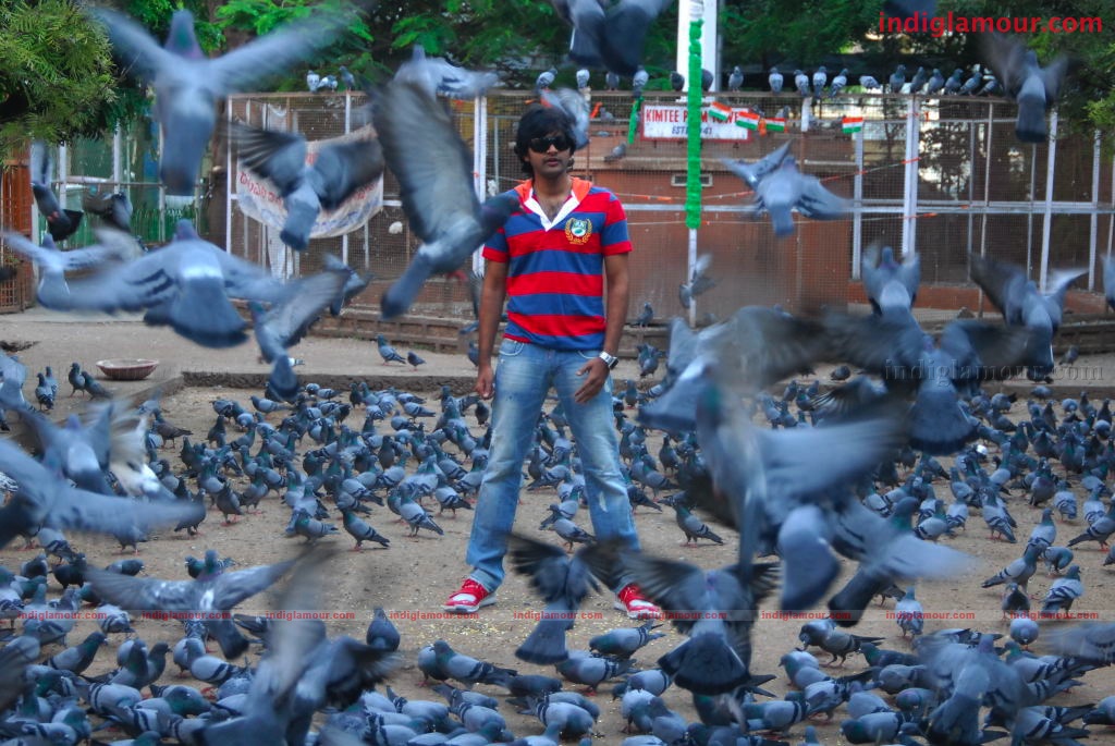 Chalaki Movie hd photo