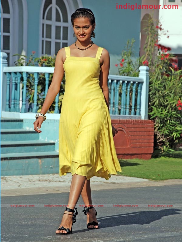Young India Movie hd photo