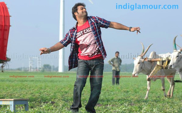 Brindavanam Movie hd photo
