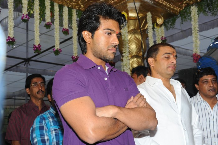 Yevadu Movie hd photo