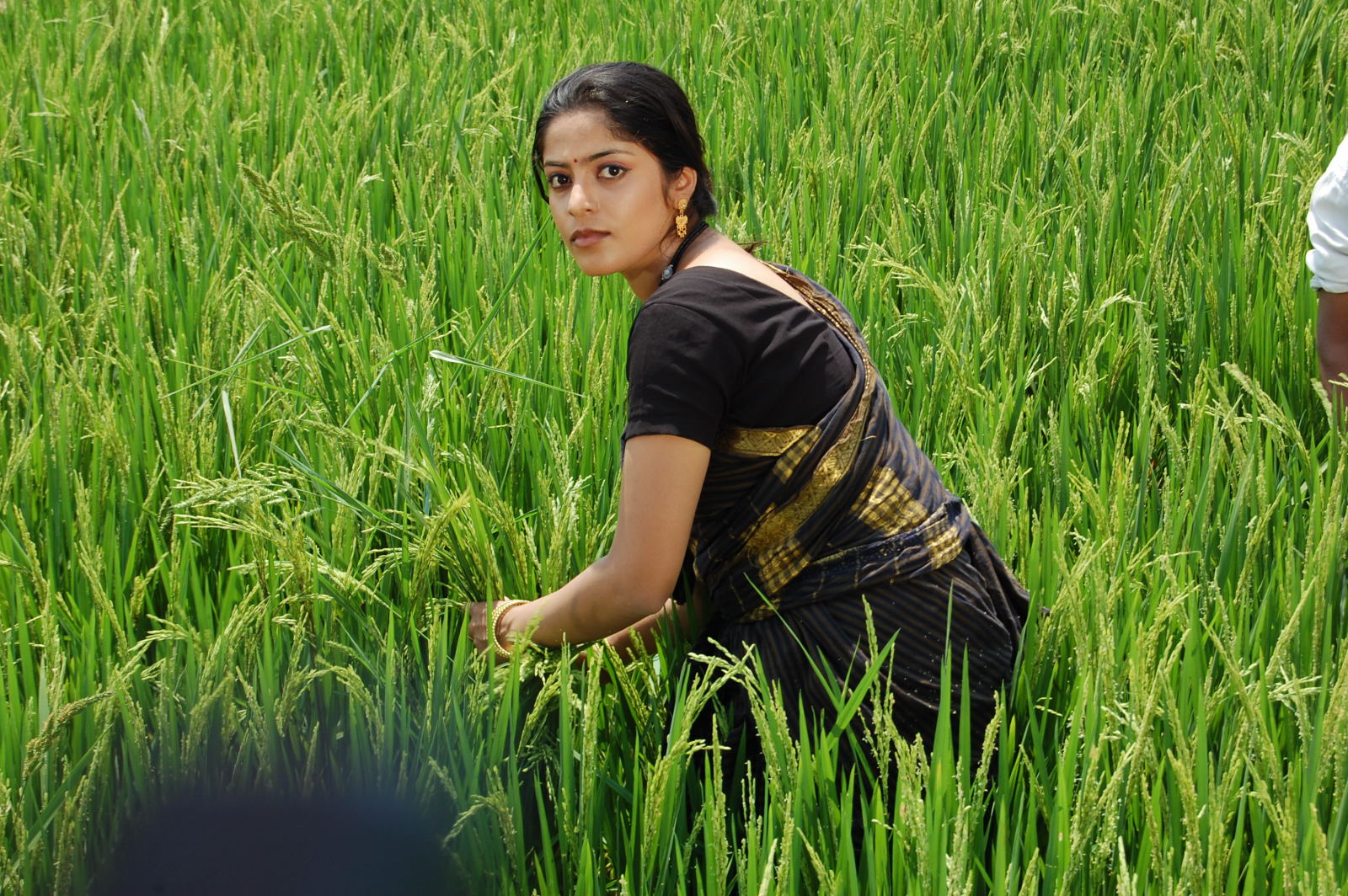 Telangana Godavari Movie hd photo
