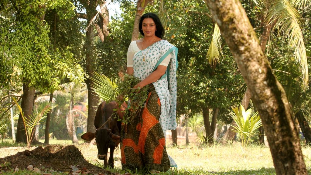 Rathinirvedam Movie hd photo