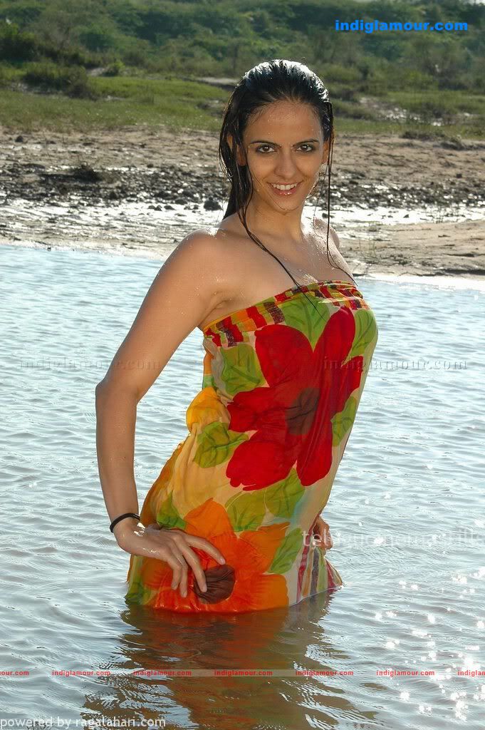 America Alludu Movie hd photo