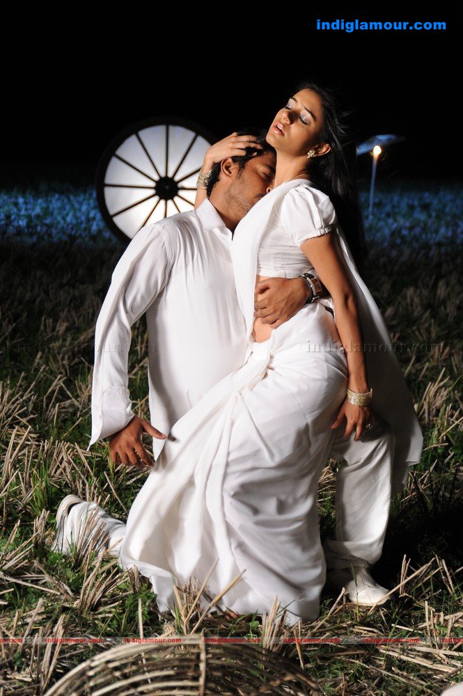 Kodi Punju Movie hd photo
