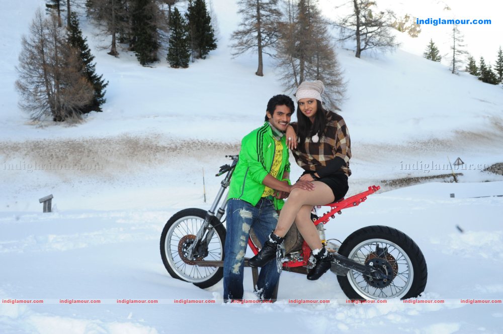 Premakavali Movie hd photo