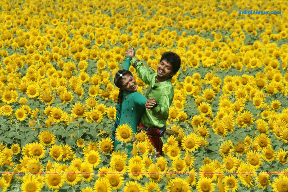 Yama Kantri Movie hd photo