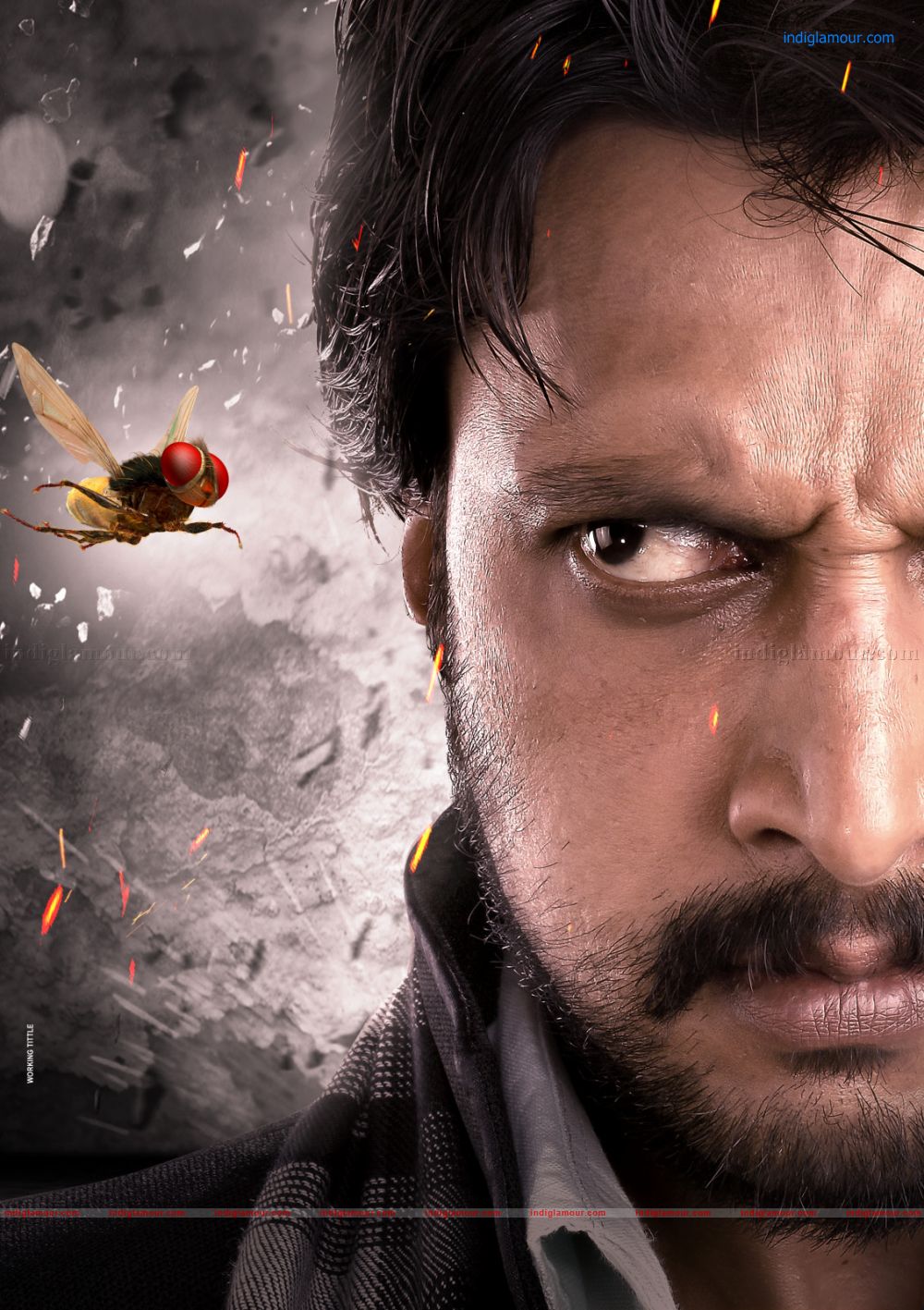 Eega Movie photos,images,pics,stills and picture - 5780 # 0 -  
