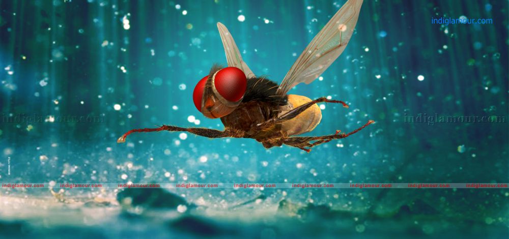 Eega Movie hd photo