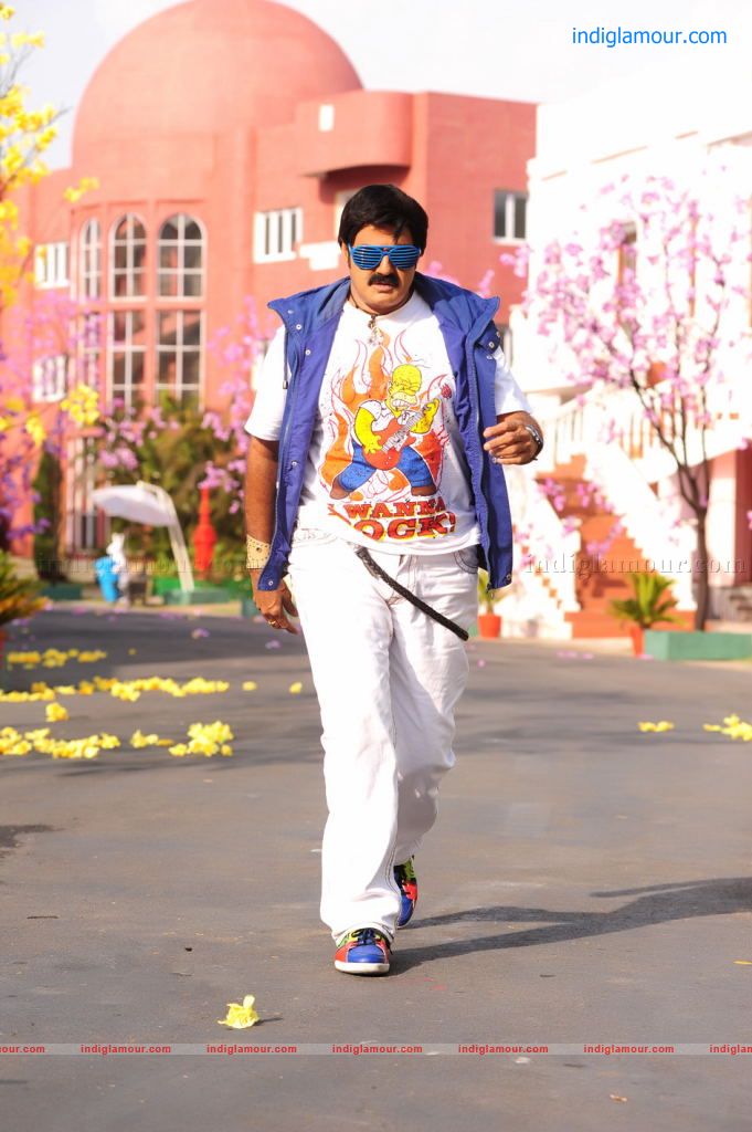 Srimannarayana Movie hd photo