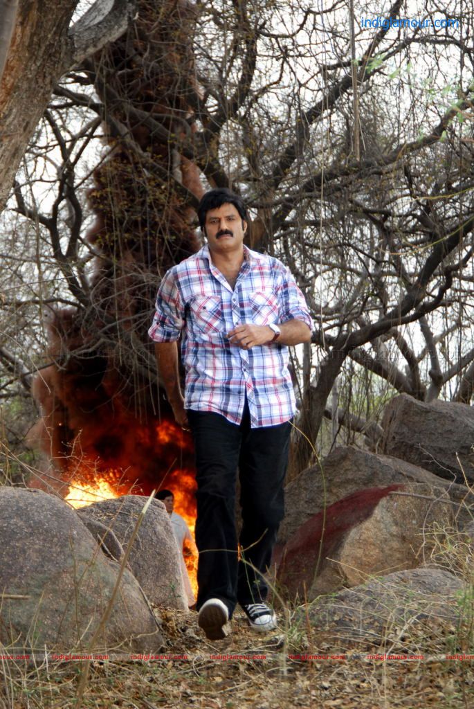 Srimannarayana Movie hd photo