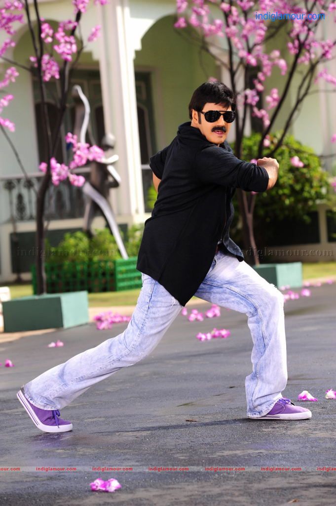 Srimannarayana Movie hd photo