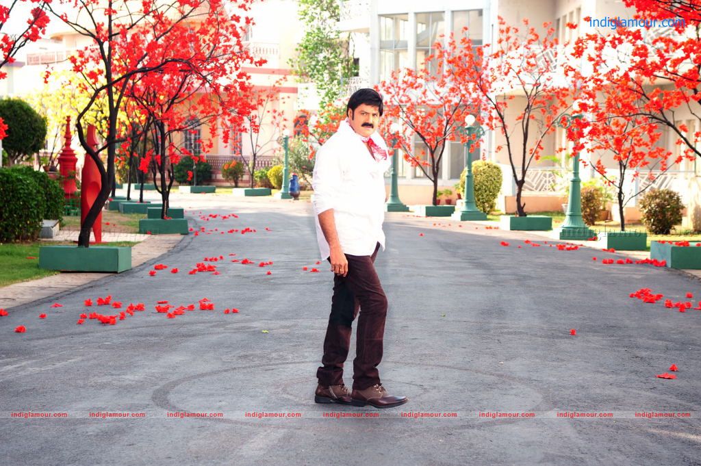 Srimannarayana Movie hd photo