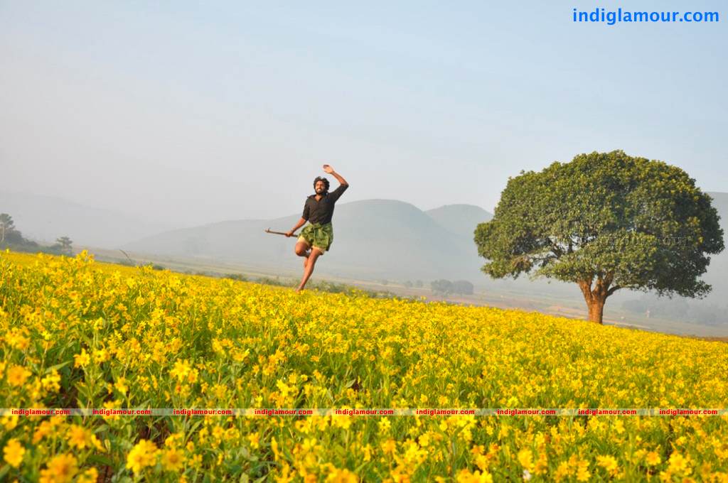 Gaja Raju Movie hd photo