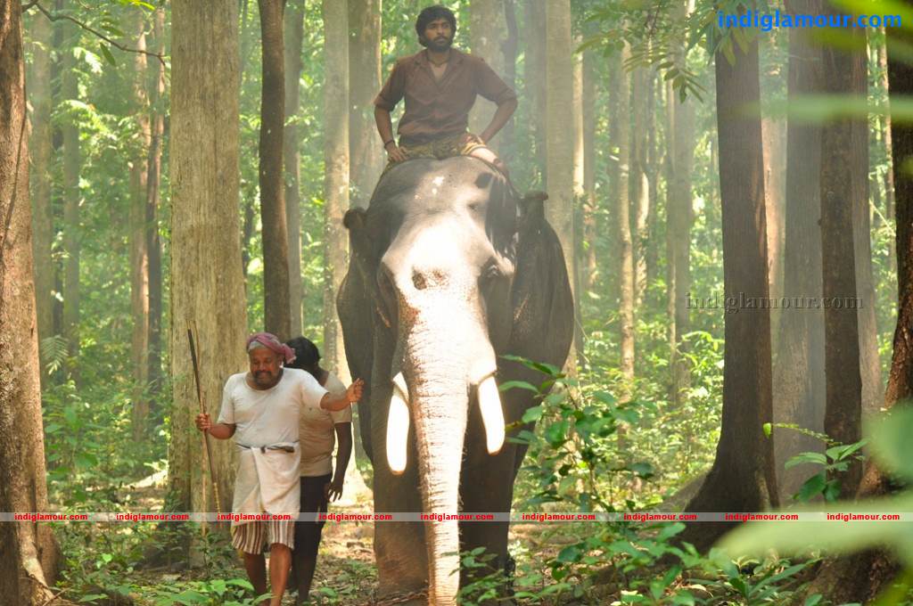 Gaja Raju Movie hd photo
