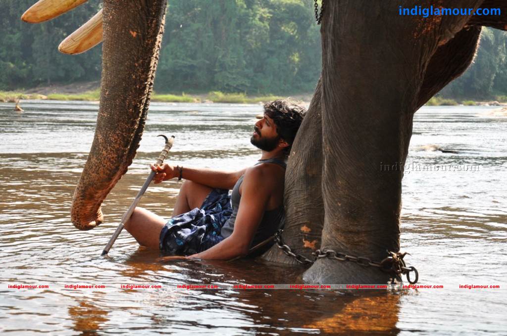 Gaja Raju Movie hd photo