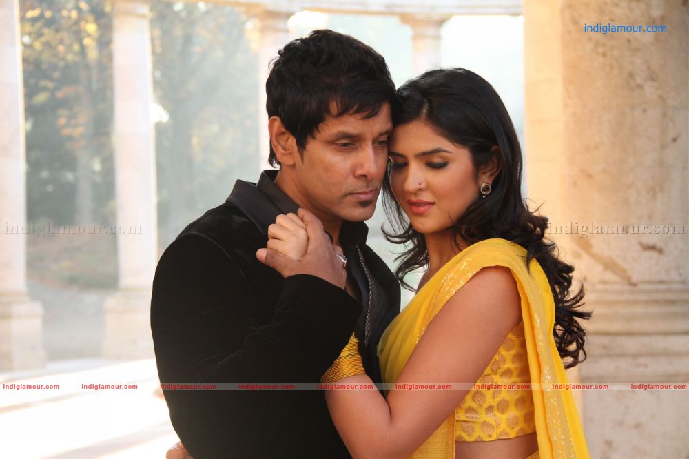 Veedinte Movie hd photo