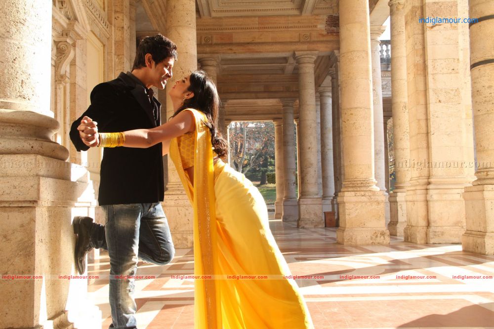 Veedinte Movie hd photo