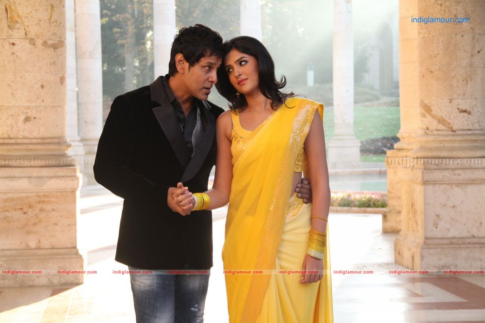 Veedinte Movie hd photo