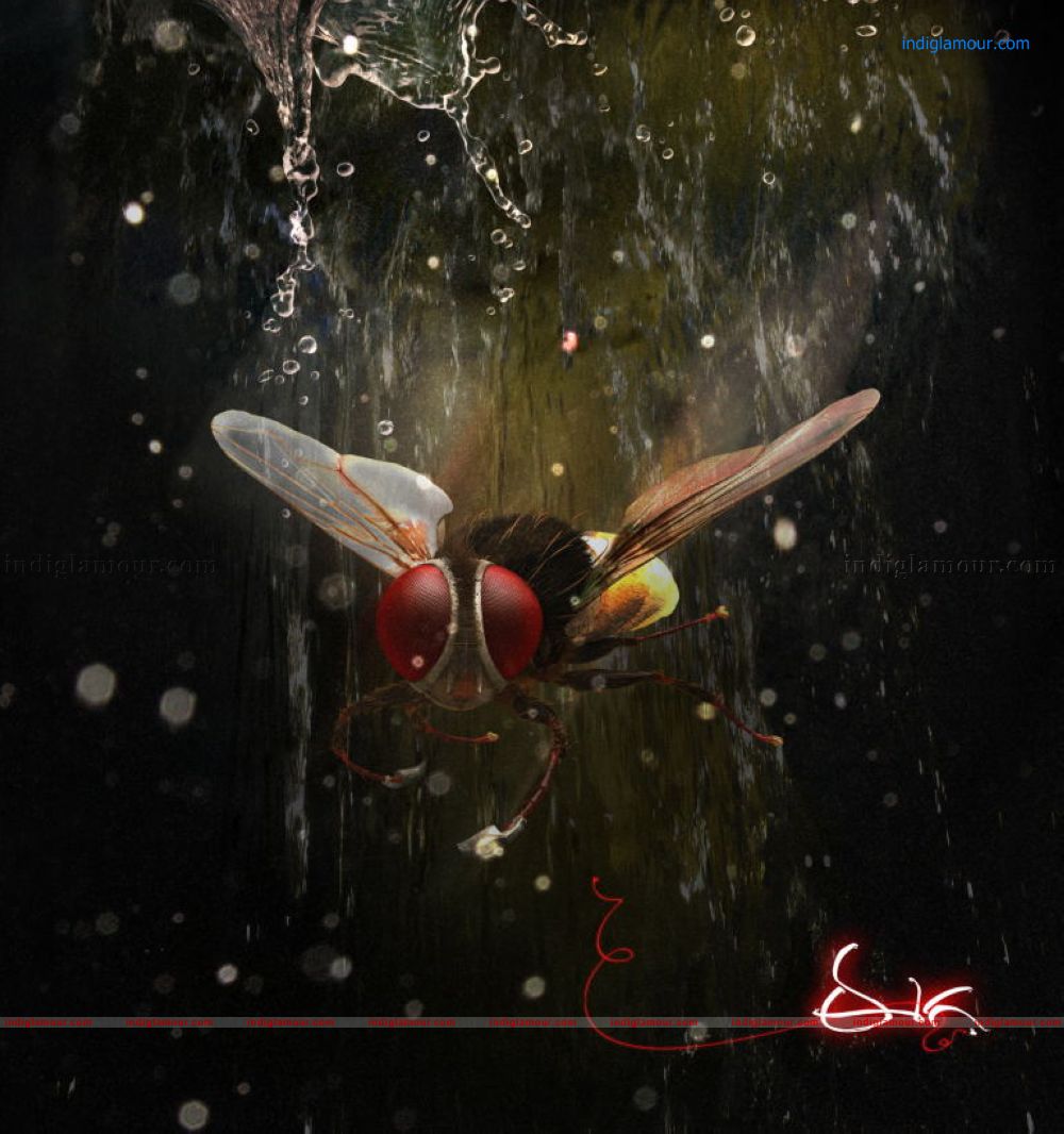 Eega Movie hd photo
