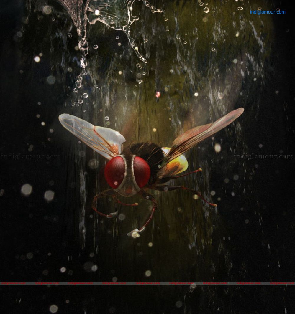 Eega Movie hd photo