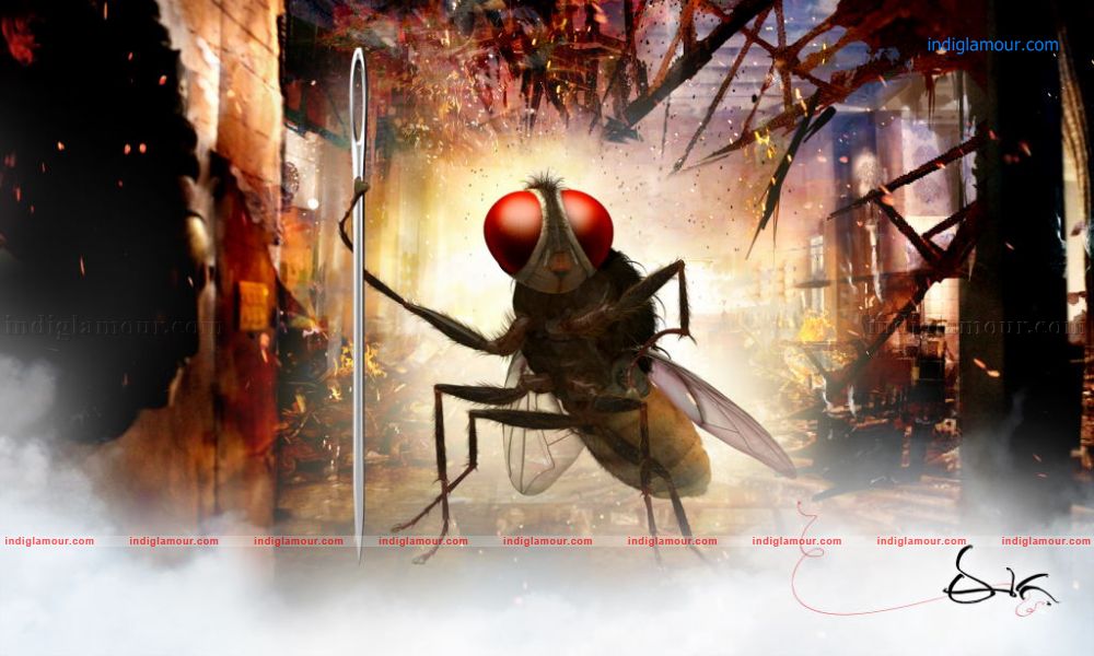 Eega Movie hd photo