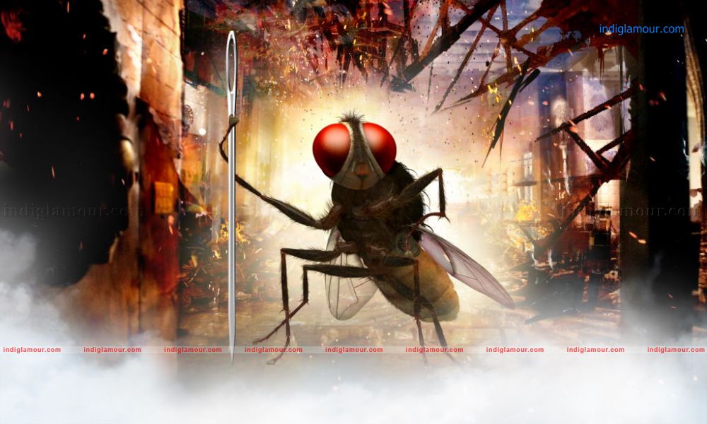 Eega Movie hd photo