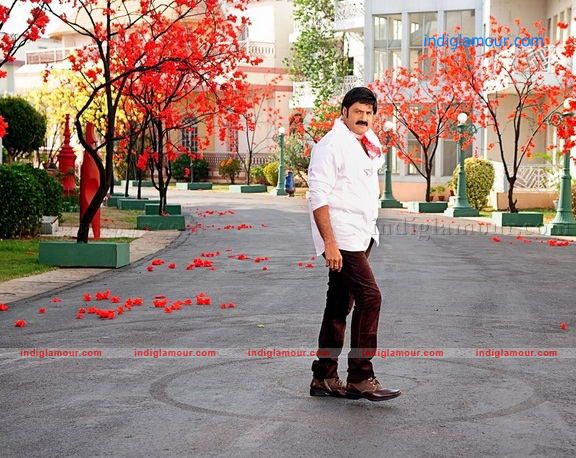 Srimannarayana Movie hd photo