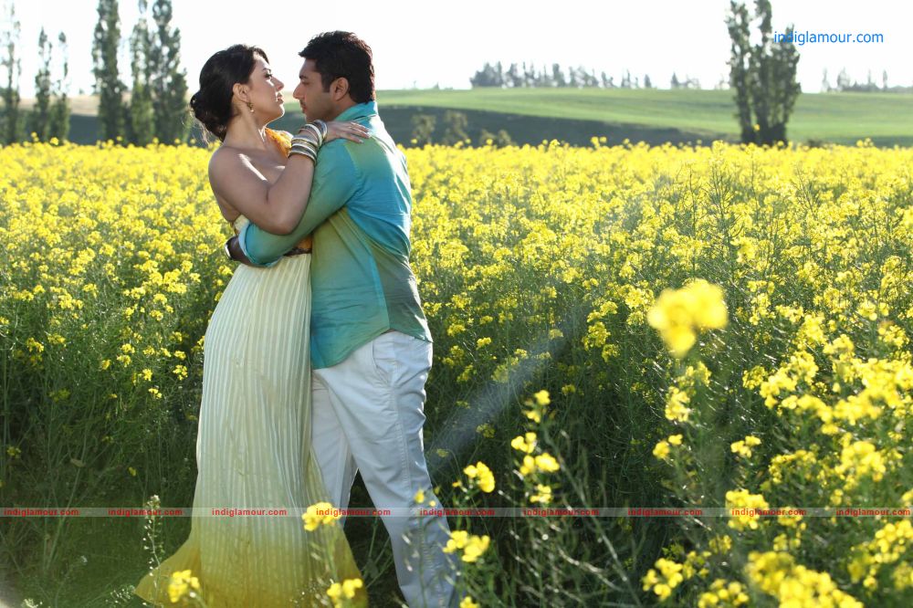 Ninnu Chooste Love Vasthundi Movie hd photo