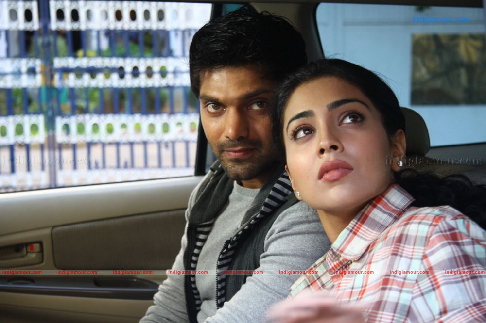 Love To Love Movie hd photo