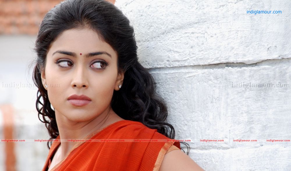Love To Love Movie hd photo