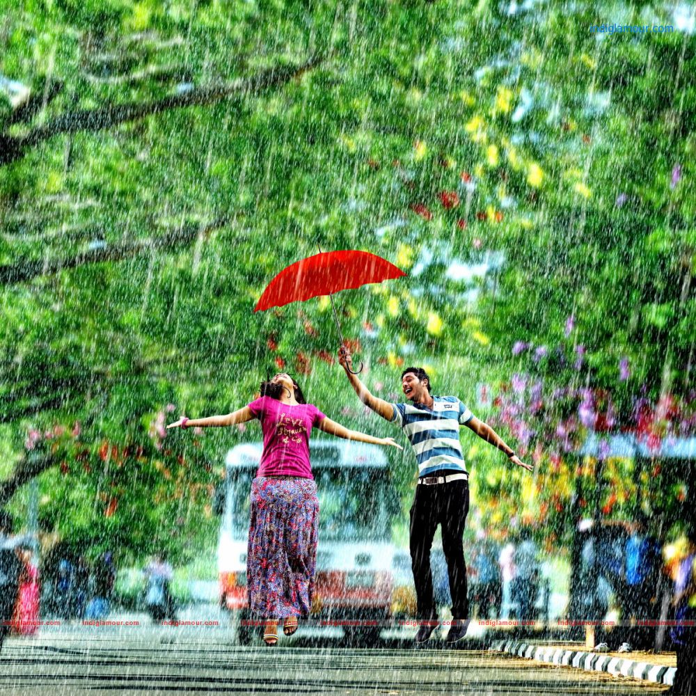 Bus Stop Movie hd photo