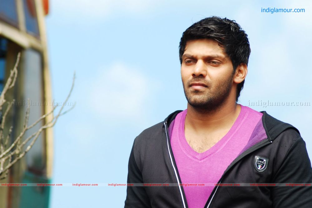 Love To Love Movie hd photo