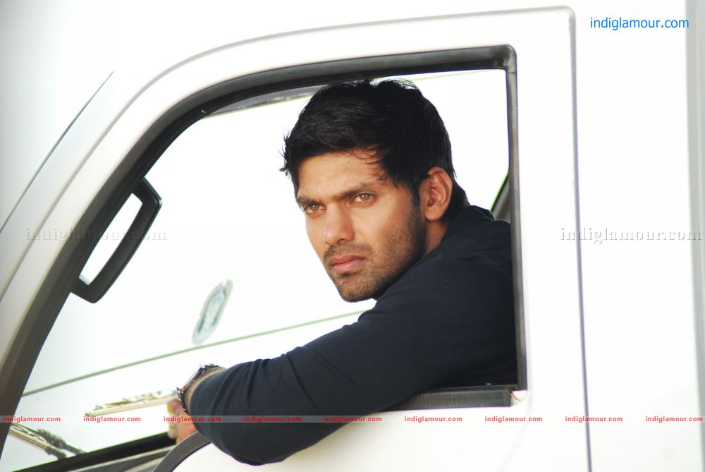 Love To Love Movie hd photo