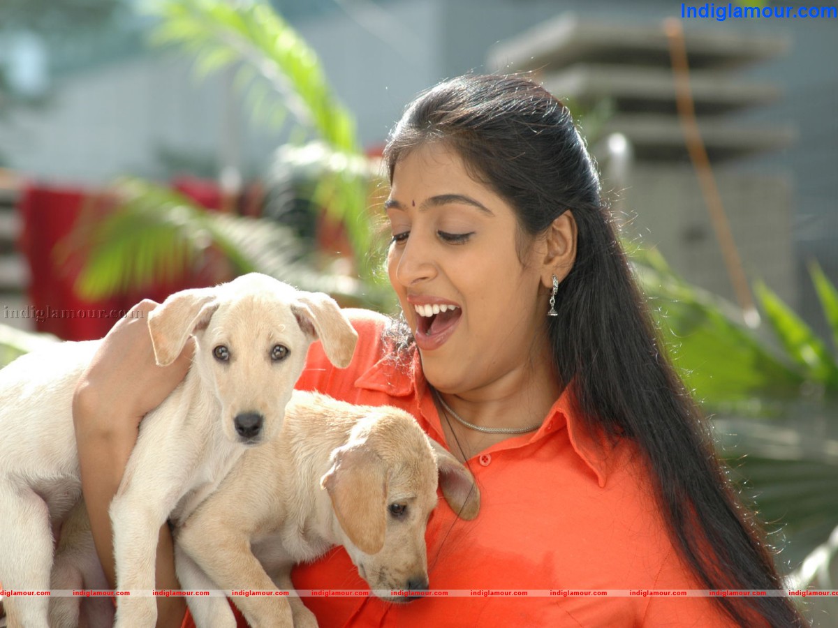 Sabdam Nisabda Movie hd photo