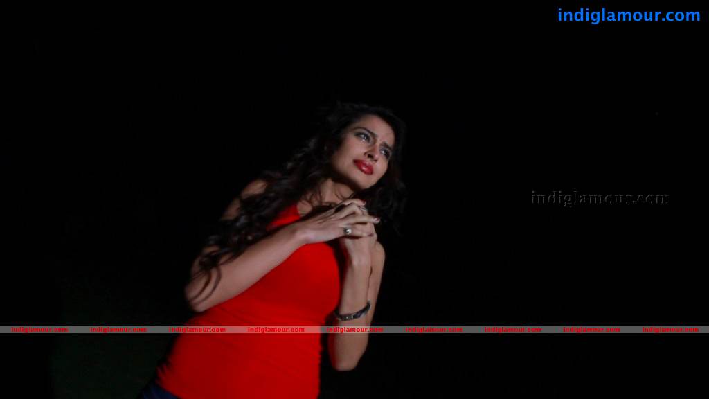 Nisha Movie hd photo