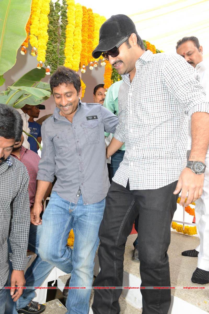 Jr NTR Production No 3 New Movie Launch Event hd photo