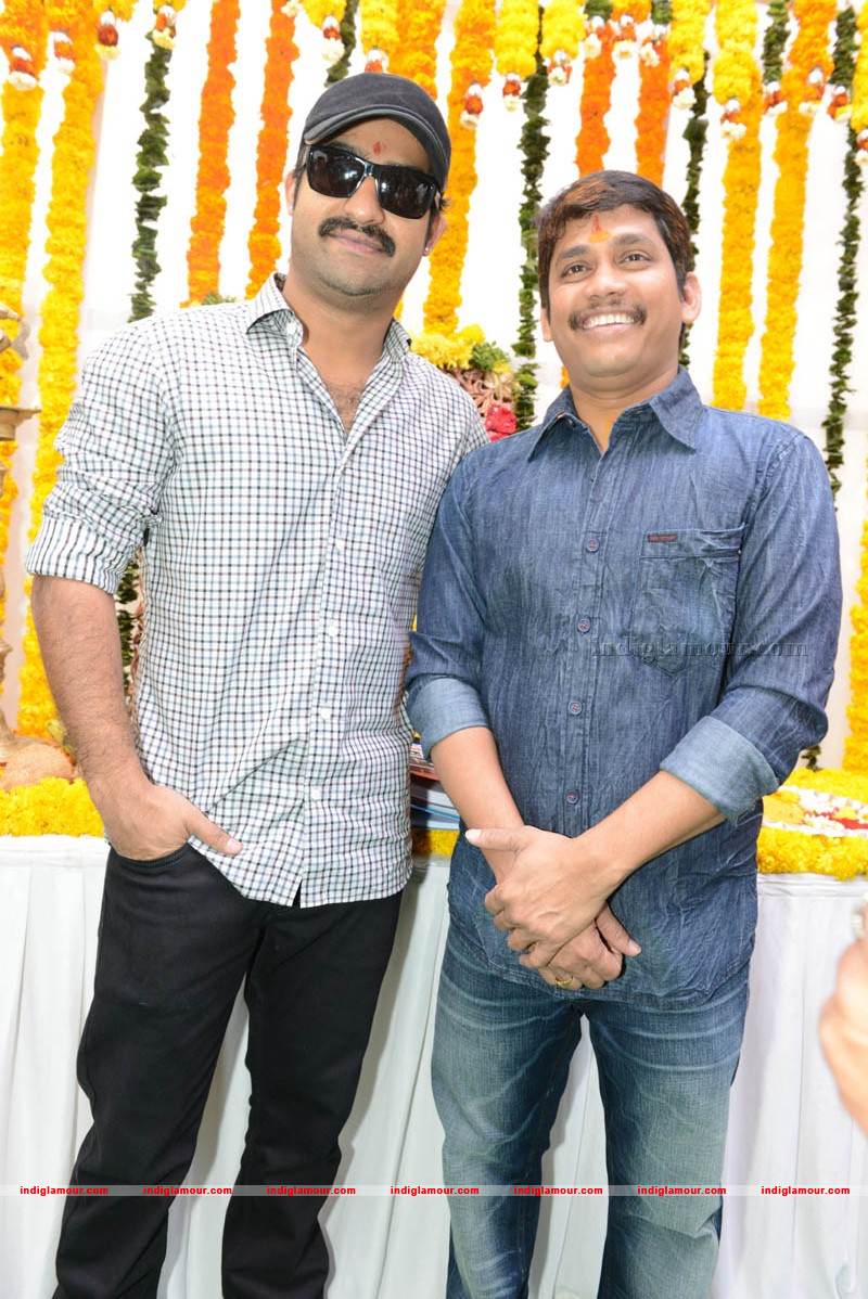 Jr NTR Production No 3 New Movie Launch Event hd photo