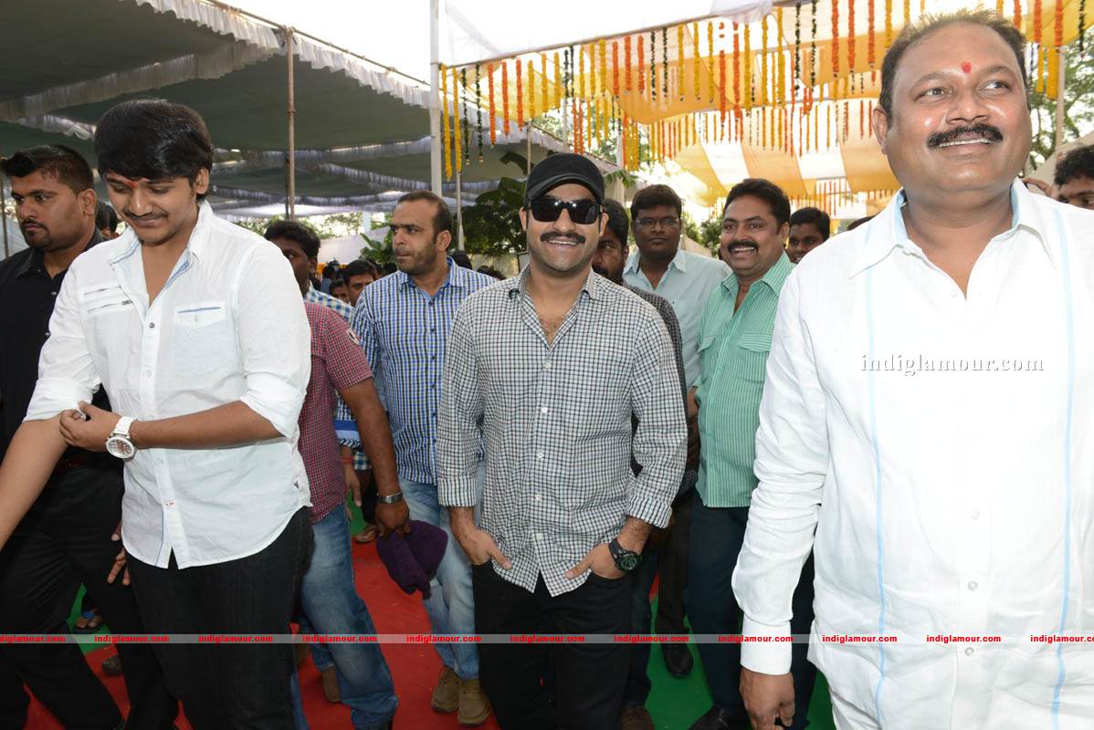 Jr NTR Production No 3 New Movie Launch Event hd photo