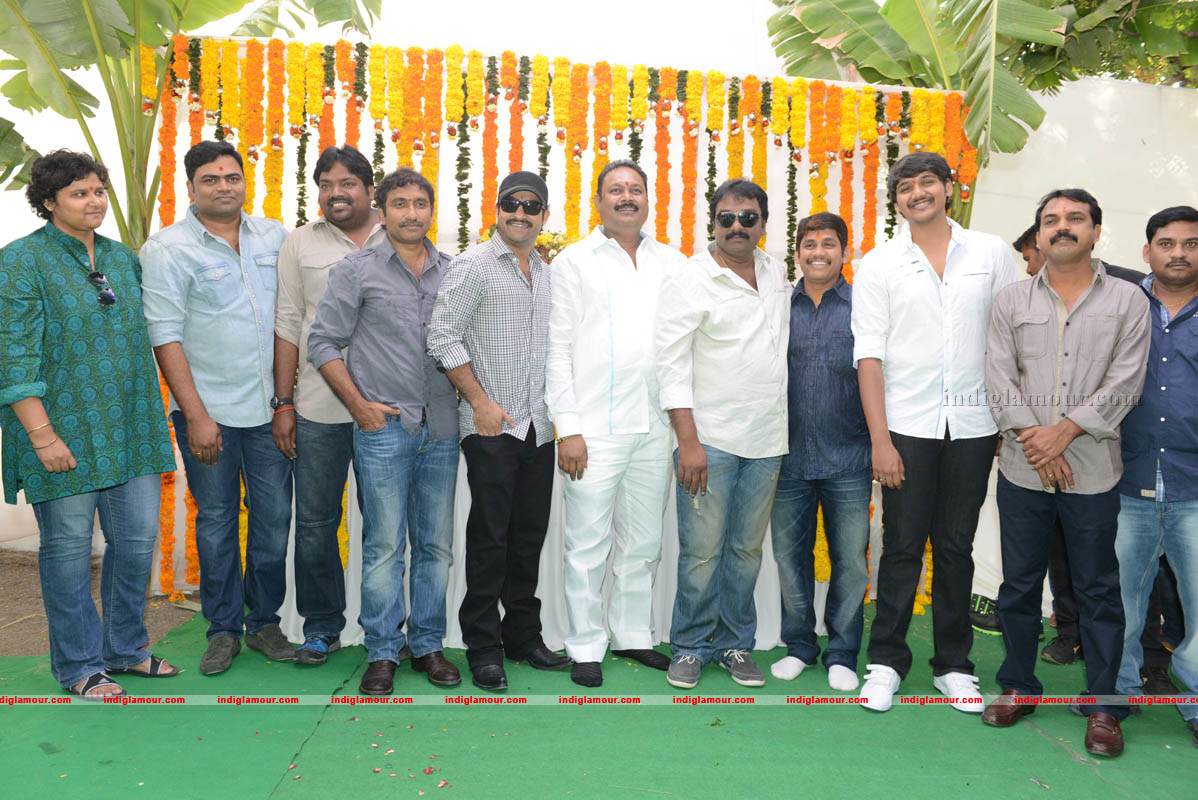 Jr NTR Production No 3 New Movie Launch Event hd photo