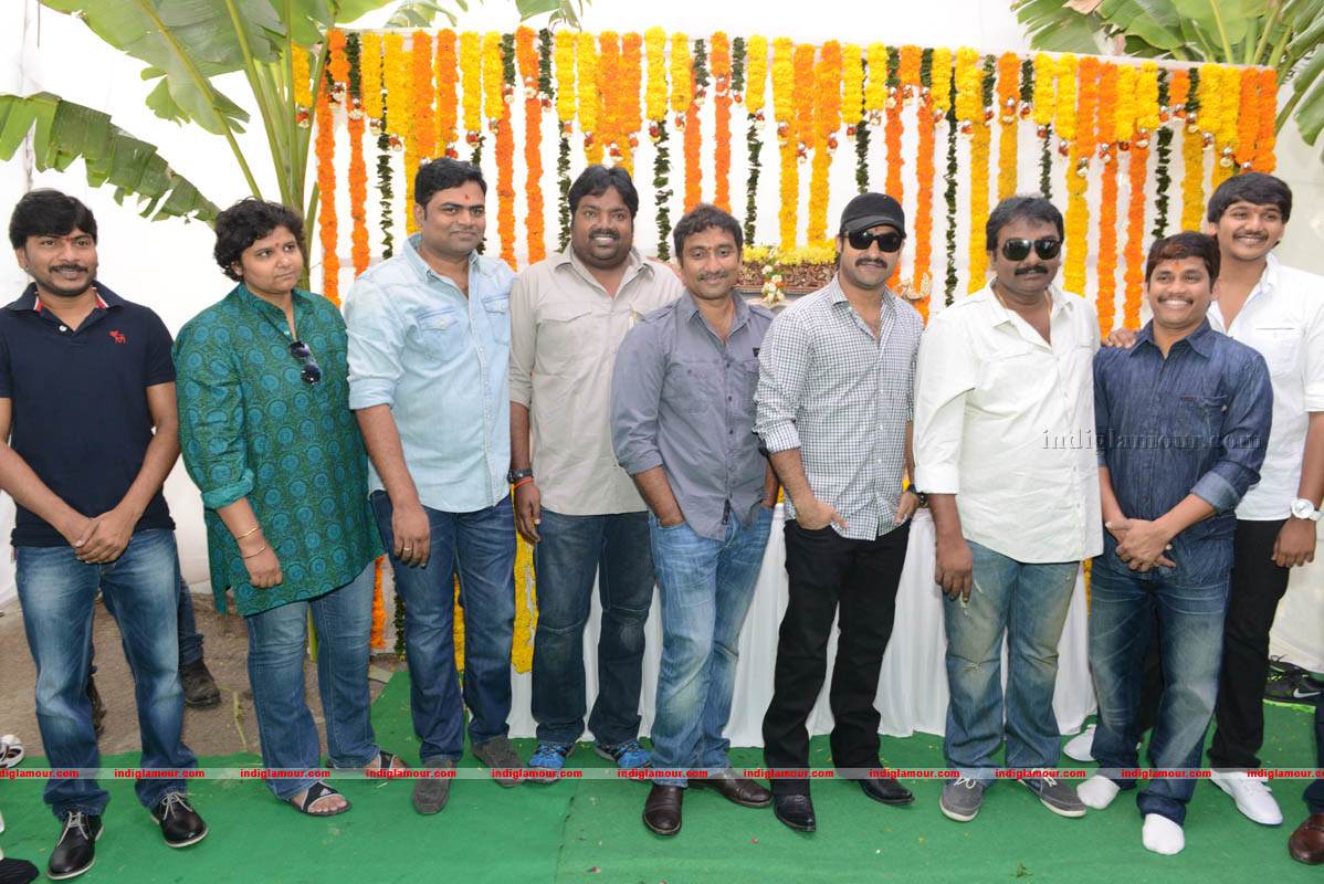 Jr NTR Production No 3 New Movie Launch Event hd photo