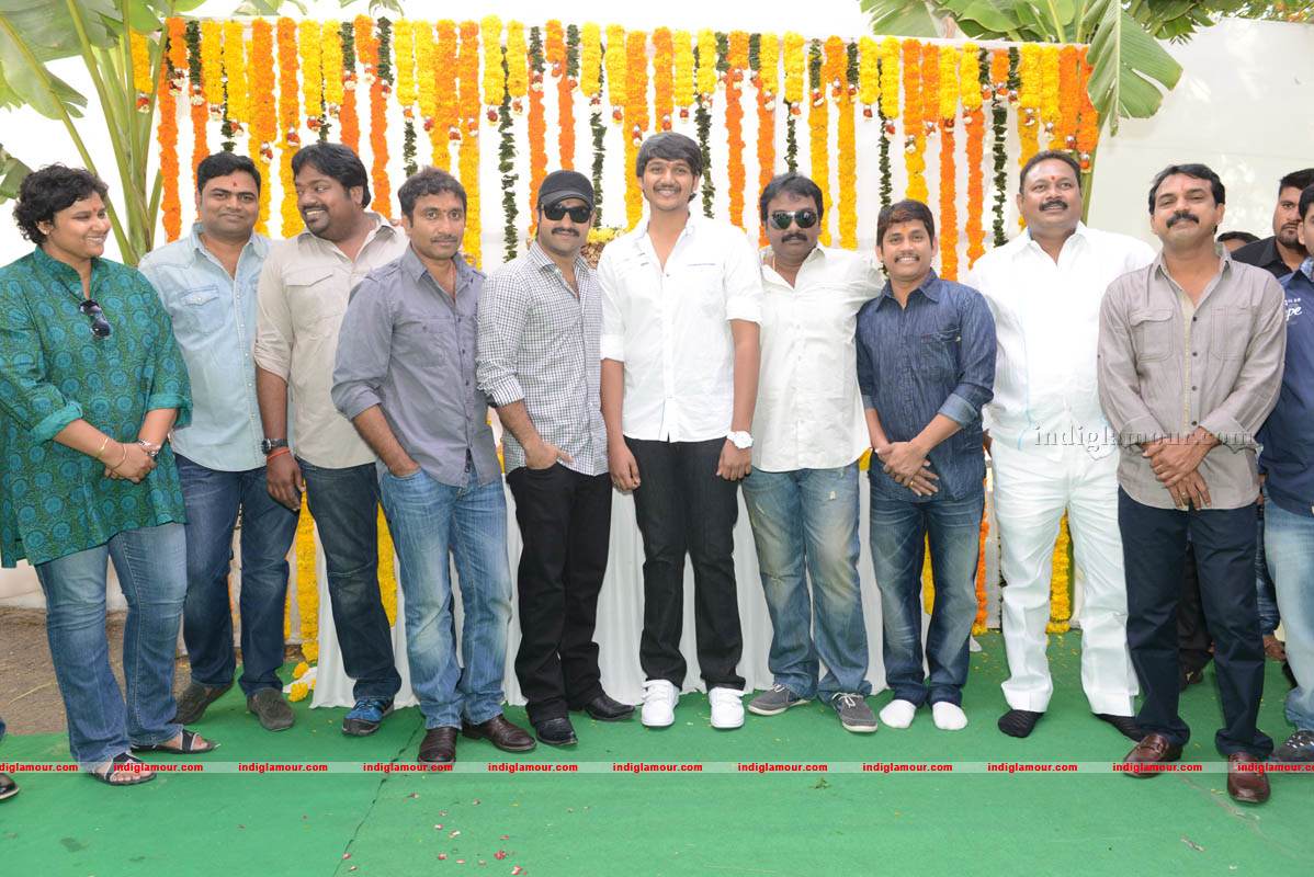 Jr NTR Production No 3 New Movie Launch Event hd photo