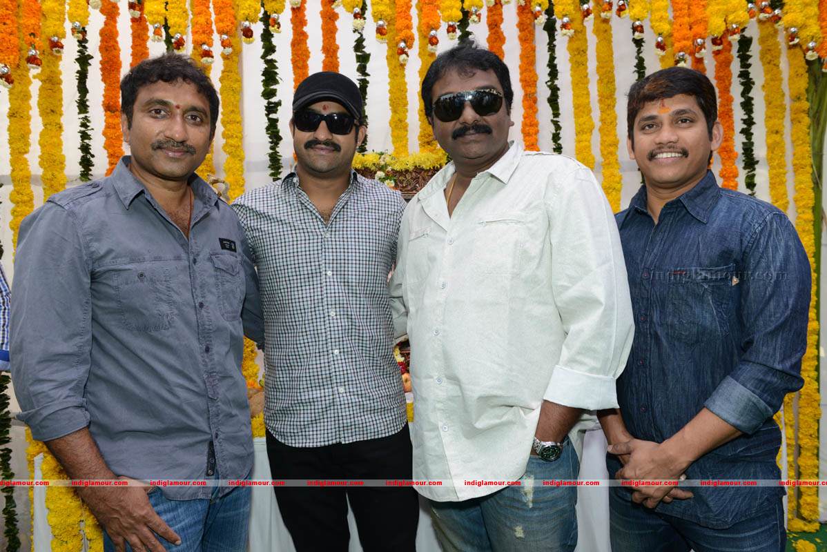 Jr NTR Production No 3 New Movie Launch Event hd photo