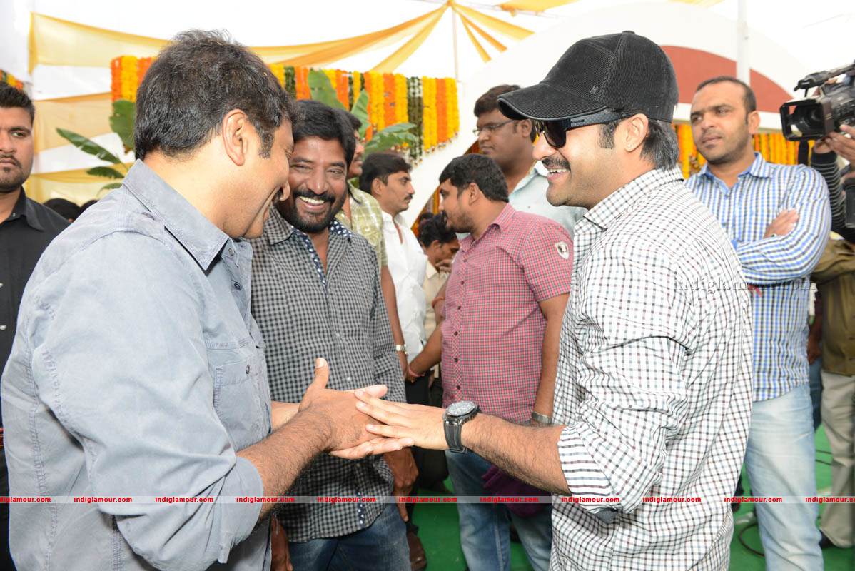 Jr NTR Production No 3 New Movie Launch Event hd photo