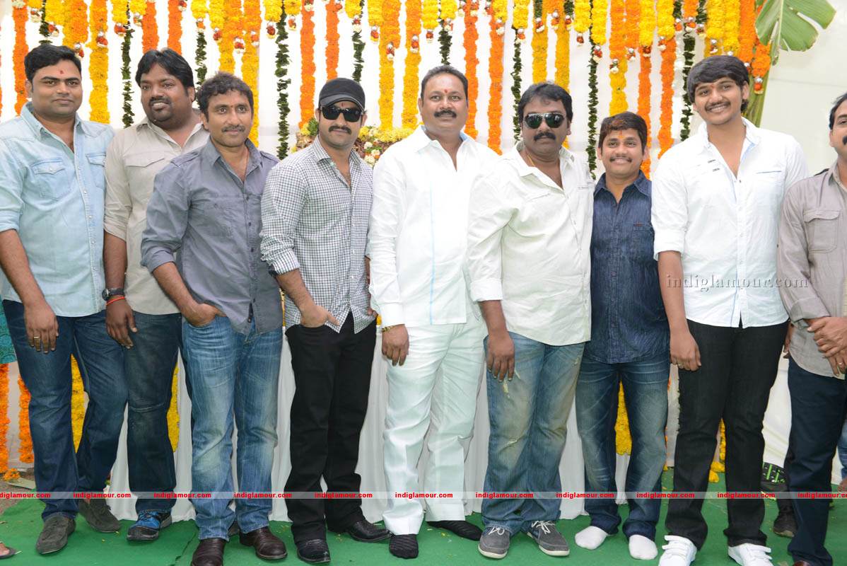 Jr NTR Production No 3 New Movie Launch Event hd photo