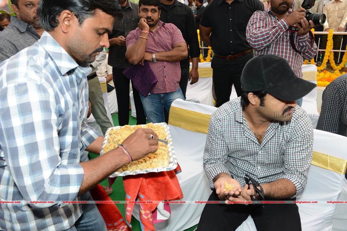 Jr NTR Production No 3 New Movie Launch Event hd photo