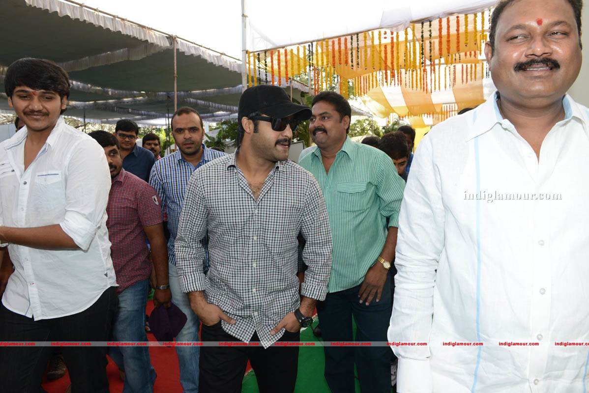 Jr NTR Production No 3 New Movie Launch Event hd photo