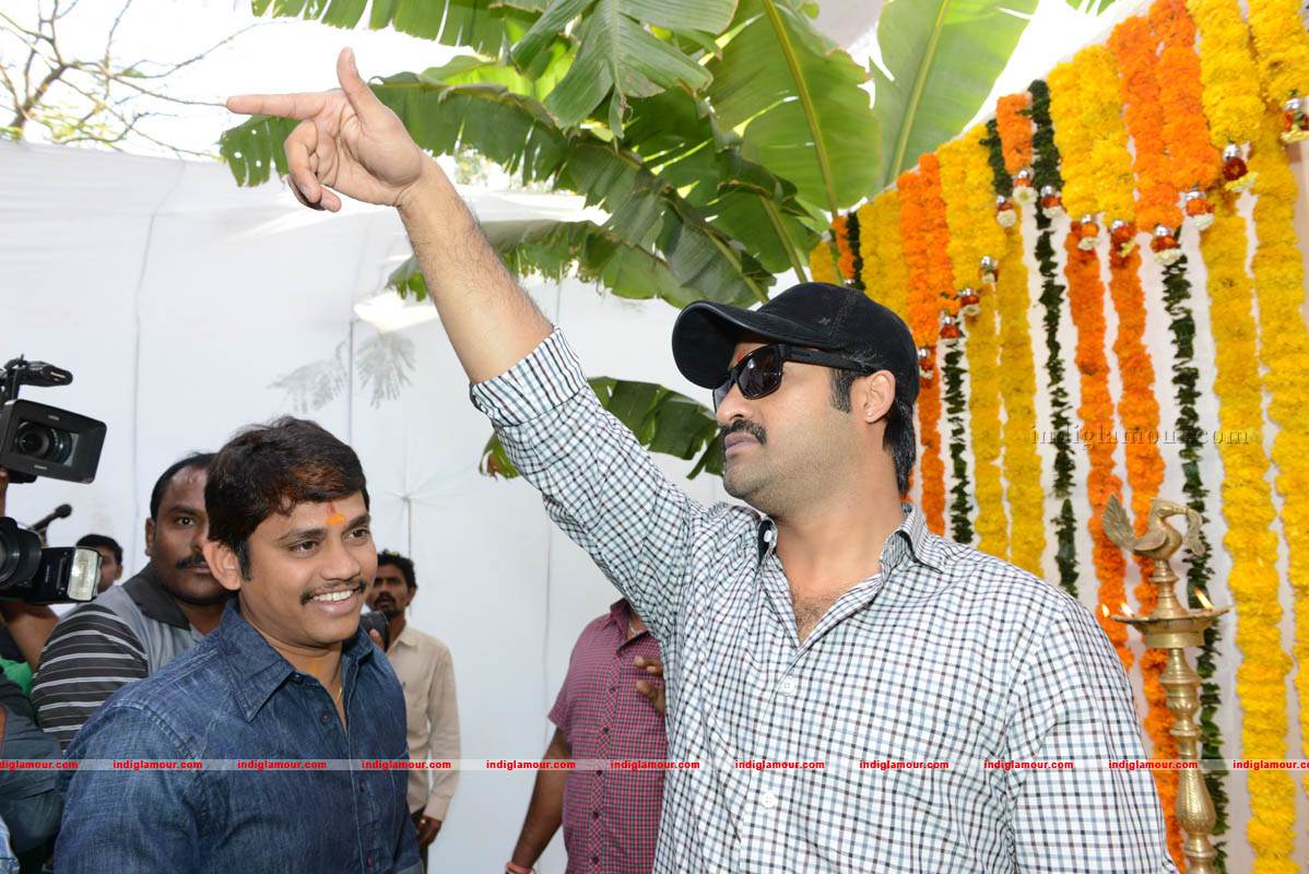 Jr NTR Production No 3 New Movie Launch Event hd photo